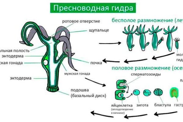 Kraken даркнет маркет