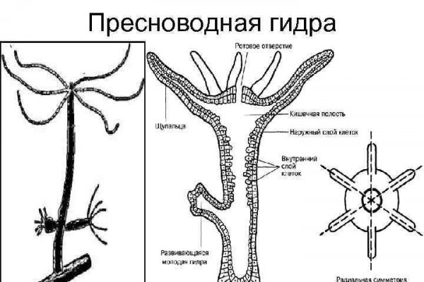 Площадка кракен kraken clear com