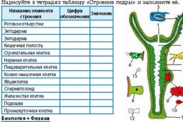 Как зайти в кракен