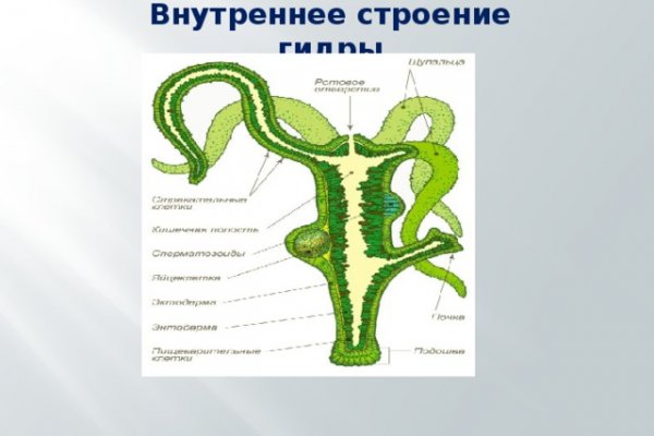 Kra34cc